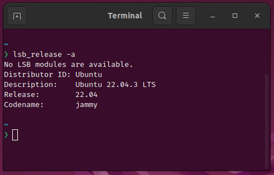 Figure 1. Output of 'lsb_release -a'